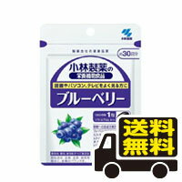 小林製薬 ブルーベリー 30日分 30粒 送料無料 メール便 栄養補助食品 サプリ サプリ…...:pupuhima:10002885