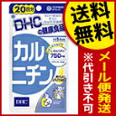 【代引き不可・送料無料：対象サプリメント全品10％オフセール！】DHC　カルニチン　120粒（20日分）