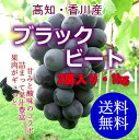 【送料無料】高知・香川産ブラックビートぶどう2〜3房入り約1kg北海道・沖縄送料500円 10P23Aug15