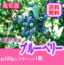 【送料無料】高知産ブルーベリー約100g入り×6パック入り北海道・沖縄は送料500円【RCP】あさイチ青空レストラン10P30May15【オススメ】05P18Jun16