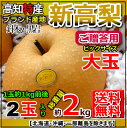 【送料無料】高知針木・黒岩産・新高梨2玉入り・約2kg贈答和...