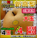 【送料無料】高知針木黒岩産・新高梨4玉入り・約4kg贈答和梨...