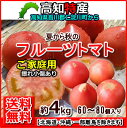【送料無料】高知仁淀川産フルーツトマト4kg家庭用仁淀ブルー北海道沖縄送料500円05P19Dec15 【送料無料】高知仁淀川産フルーツトマト4kg家庭用仁淀ブルー北海道沖縄送料500円05P19Dec15