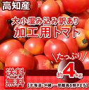 【送料無料】高知産・訳あり桃太郎トマト約4kgたっぷりとまとトマトサミット北海道・沖縄送料500円【RCP】05P07Feb16