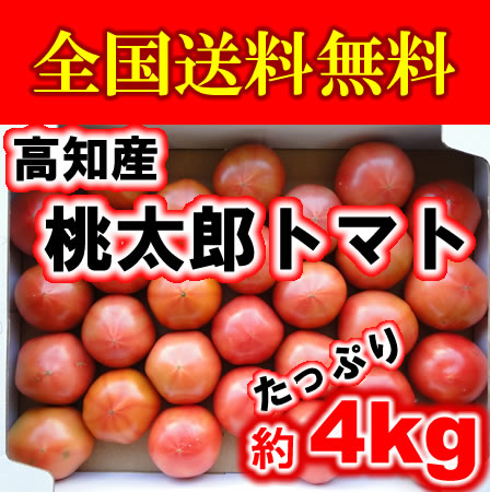 【全国送料無料】【桃太郎】【訳あり】高知・愛媛産・トマト桃太郎とまと4kg【RCP】【マラソン201302_訳あり】【RCP】10P02jun130スーパーセール10P01Sep13