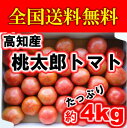 【全国送料無料】【桃太郎】【訳あり】高知・愛媛産・