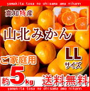 高知産山北みかん温州みかんLLサイズ5k...