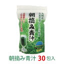 青汁 乳酸菌 乳酸菌青汁 乳酸菌40億個 無添加青【朝摘み青汁 3g×30包】国産 大麦若葉 美容 ダイエット 送料無料