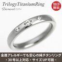 天然ダイヤモンド0.07ct 純チタンリング(金属アレルギー対応チタン指輪)セミオーダーR
