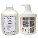 【エコタイプボトル+専用容器セット】トレンツ アミノシールド エクサ トリートメント 600g (AMINO SHIELD EXA)まとまりのあるしっとり艶めくうるおい系極上トリートメント