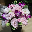 PURIZA 【生花花束】母の日ギフト 30本 定番カーネーションとスプレーカーネーション 花束 flower 誕生日 花 カスミ草付き 生花 ブーケ 母の日プレゼント 人気 2022年 人気 高齢者 40 50 60代 色セレクト