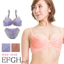 【SALE】 ブラジャー 大きいサイズ ルアン
