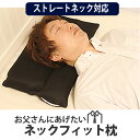 ストレートネック枕 お父さんにあげたいネックフィット枕【宅配...