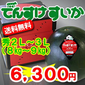 超特大　でんすけすいか秀品2L〜3L（8〜9kg）　【送料無料】予約受付！発送は7月上旬から黒と赤の帝王！北海道当麻より産地直送！