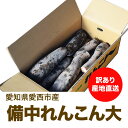 訳あり品!愛知県愛西市産備中れんこん コロ部分大 5kg...