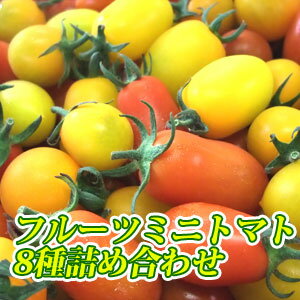 ミニトマト詰め合わせ4kg（8種）【送料無料】