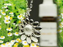 【特別価格】アロマペンダント　Silver Chamomile　シルバーアクセサリー　アロマネックレス ディフューザー カモミール【送料無料】メール便 【アロマ】【花粉症対策】