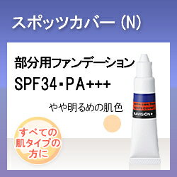 資生堂 ナビジョン NAVISION スポッツカバー(N)（楽天/通販）