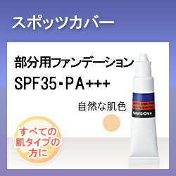 《カバー力しっかりのコンシーラー》資生堂 ナビジョン NAVISION スポッツカバー（楽天/通販）