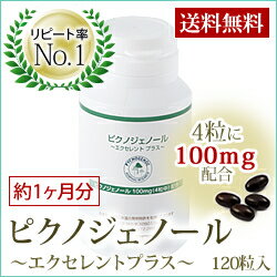 ピクノジェノール 〜エクセレントプラス〜【30日分・120粒】[pycnogenol 120]【DW_free】【HLS_DU】（楽天/通販）