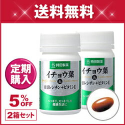 【定期購入】イチョウ葉＆大豆レシチン＋ビタミンE 2箱セット [120粒：約60日分]