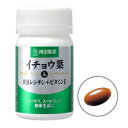 イチョウ葉＆大豆レシチン＋ビタミンE60粒（約30日分）（楽天/通販）
