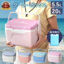 【LINE登録で300円OFFクーポン】【楽天1位】保冷剤付き クーラーボックス 小型 5.5L 20L 保冷剤付き 釣り 部活 おしゃれ ピクニック 氷 保冷力 花見 バーベキュー アウトドア おすすめ 防災 キャンプ 人気 軽い 災害時 飲み物 冷やす 持ち手 公式 PYKES PEAK