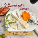 フルムダンベール thank you cheese 詰合せ 39 サンキュー チーズ 詰め合わせ ブリー ミモレット フルム フルムダンベール フランス どな