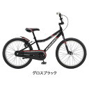 SCHWINN(シュウィン) 2019年モデル A