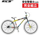 GT 2020年 PRO PERFORMER HERITAGE 29 プロパフォーマーヘリテッジ