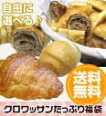【送料無料】冷凍パン生地・選べるクロワッサンたっぷり福袋【RCPsuper1206】