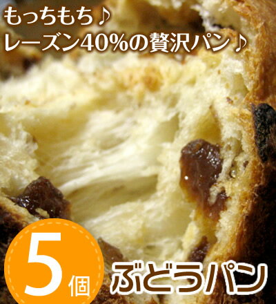 【お買い得】ぶどうパン5個
