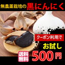 クーポン利用で500円!お試し 黒にんにく50g 30日間熟成発酵 お一人様1回限り10袋まで メール便送料無料 ポイント消化