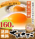 ã€é€æ–™ç„¡æ–™ã€‘七山ãŸã¾ã” 160個入り