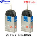 2本セット SCHWALBE シュワルベ 20×1.10/1...