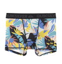 クイックシルバー QUIKSILVER MAPOOL ALLOVER Underwear 【QUD201301 NVY】【Mens】