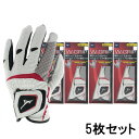 5枚セット ミズノ ゴルフ グローブ W-GRIP ショート ダブルグリップ (5MJMS05101) 秋 冬 メンズ ホワイト×レッド MIZUNO