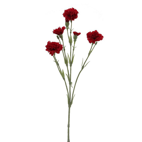 s  tParer/p J[l[VXv[ bh ̓ CeA