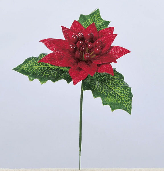 s NX}X  |CZ`A tAsca/AXJ xxbg|CZ`AsbN (16{) CeA