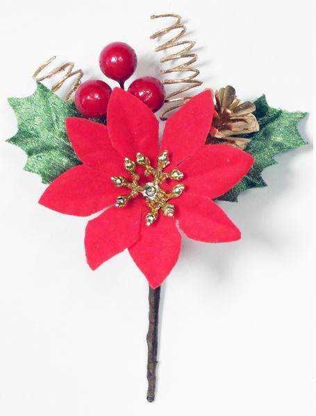 s NX}X  |CZ`A tԂт/nirV ~j|CZ`AsbN bh/S[hCeA