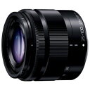 パナソニック 35-100mm/F4.0-5.6 ASPH./MEGA O.I.S. H-FS35100-K (ブラック)