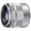 パナソニック 35-100mm/F4.0-5.6 ASPH./MEGA O.I.S. H‐FS35100‐S (シルバー)
