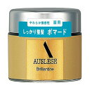 資生堂化粧品 AUSLESE(アウスレーゼ) ブリランチンN(80g)