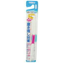 エビス ポイントブラシ ふつう(1本入り) ポイントブラシ
