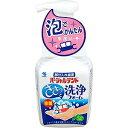 小林製薬 パーシャルデント 洗浄フォーム 250ml パーシャルデントセンジョウF250