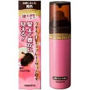柳屋本店 レディース トップシェード スプレーウィッグ 自然...