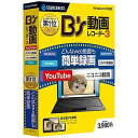 ソースネクスト 〔Win版〕B’s 動画レコーダー 3 BSドウガレコーダー3 ランキングお取り寄せ