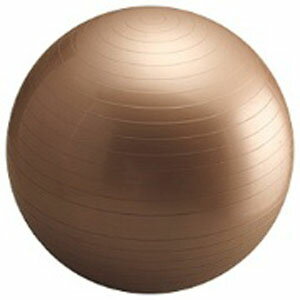 ドリームマックス バランスボール　YOGA　BALL（シャンパンゴールド／φ55cm） L…...:r-kojima:10276239