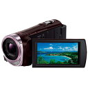 ソニー デジタルHDビデオカメラレコーダー HDR?CX420(T)<ブラウン>【送料無料】