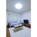 アイリスオーヤマ IRIS OHYAMA LEDシーリングライト 6畳調光 スマートスピーカー対応 CL6D-6.0HAIT